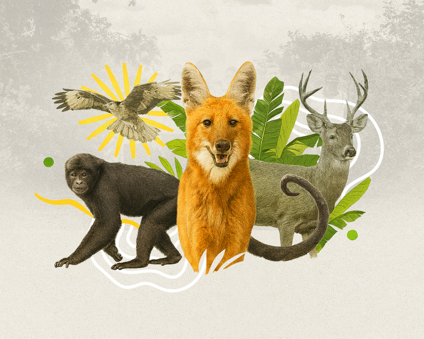 Parque Vida Cerrado passa a integrar a Associação de Zoológicos e Aquários do Brasil (AZAB)